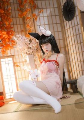 蛇蝎女佣第四季_DVD完整版观看